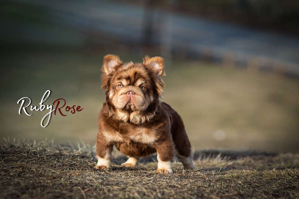 RUBY ROSE